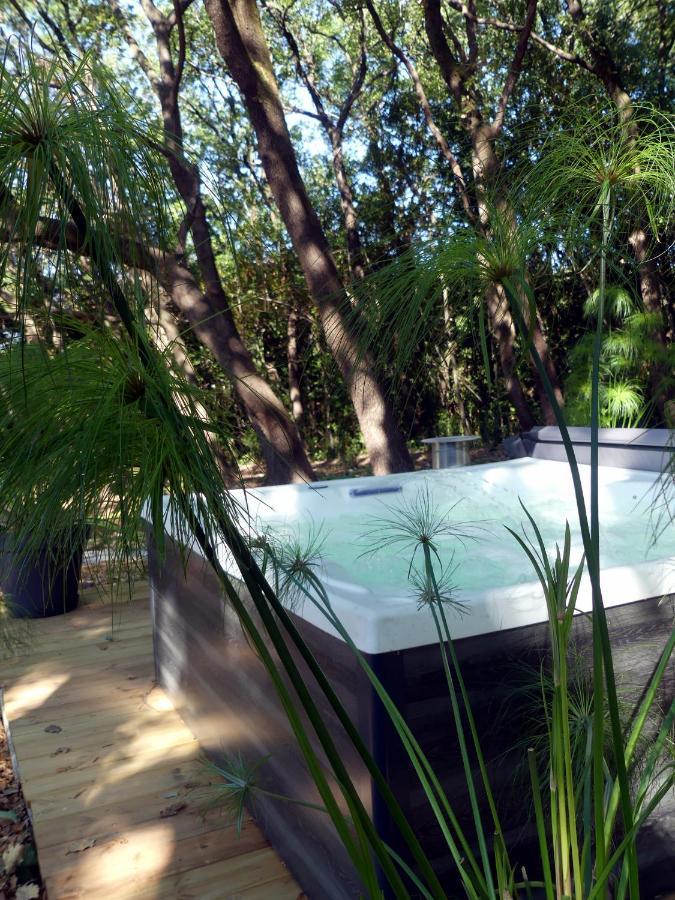 Le Predaiou Bed & Breakfast La Garde Adhemar Ngoại thất bức ảnh
